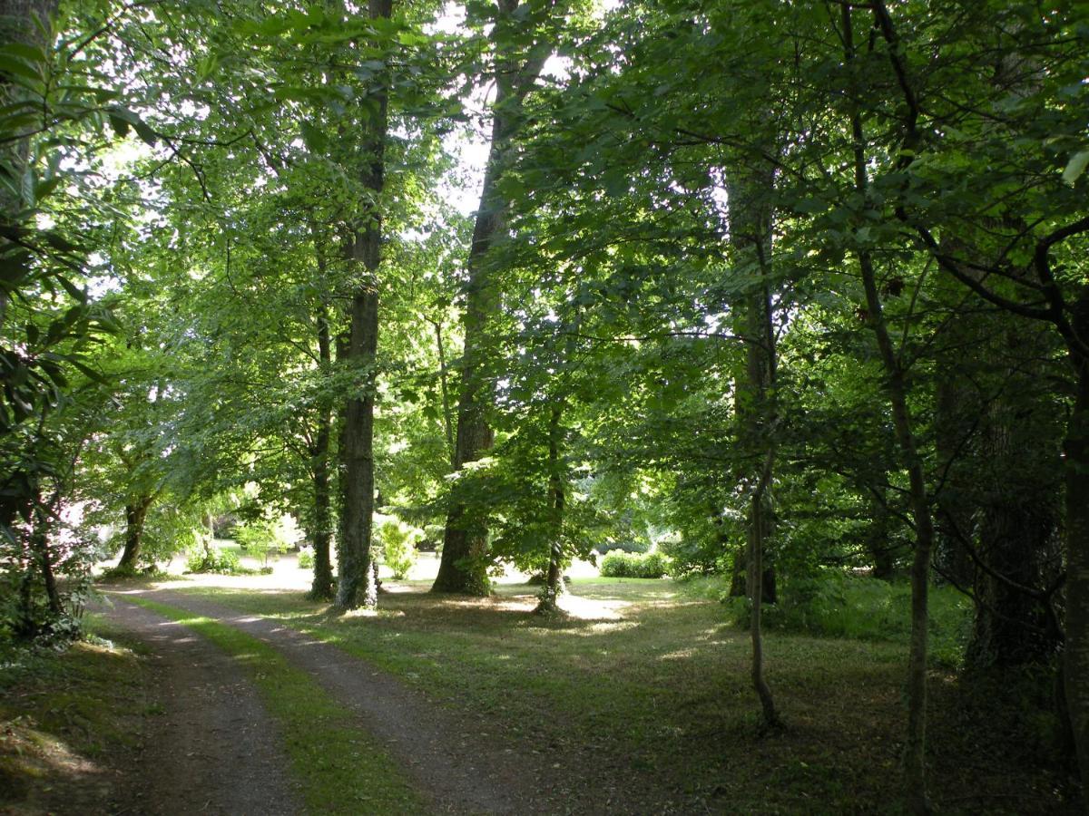 Les Talvasieres Le Mans Dış mekan fotoğraf